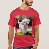 T-shirt Chien maltais (Devant)