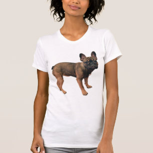 T-shirt Chien-taureau français