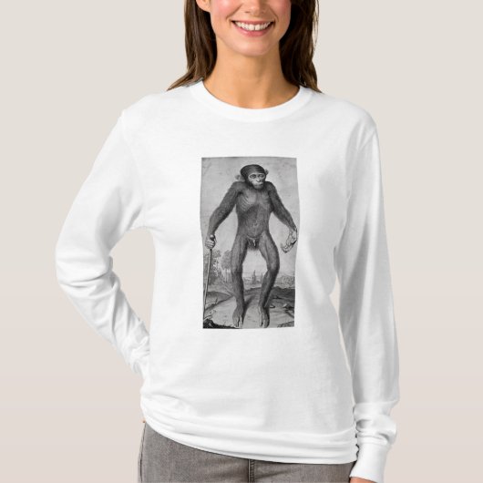 T-shirt Chimpanzé, 1699 (Devant)