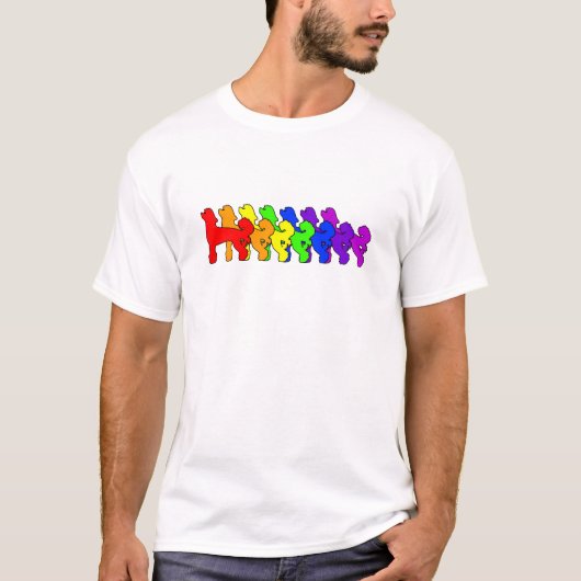 T-shirt Chinois d'arc-en-ciel Crested (Devant)