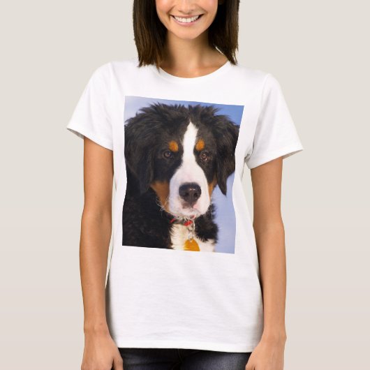 T-shirt chiot bernais-chien de montagne-rouille (Devant)