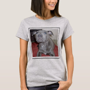 T-shirt Chiot bleu Sooky Staffordshire Bull Terrier