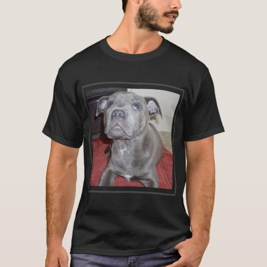 T-shirt Chiot bleu Sooky Staffordshire Bull Terrier (Devant)