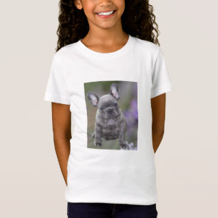 T-Shirt chiot bouledogue français Bouledogue Français