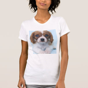 T-shirt Chiot cavalier d'épagneul du Roi Charles