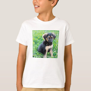 T-shirt Chiot de berger allemand