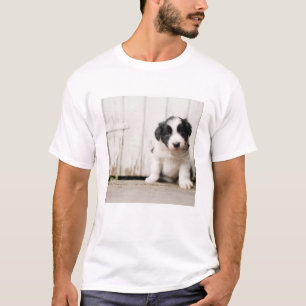 T-shirt Chiot de border collie