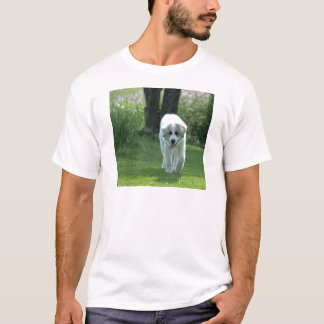 T-shirt Chiot de Grands Pyrénées