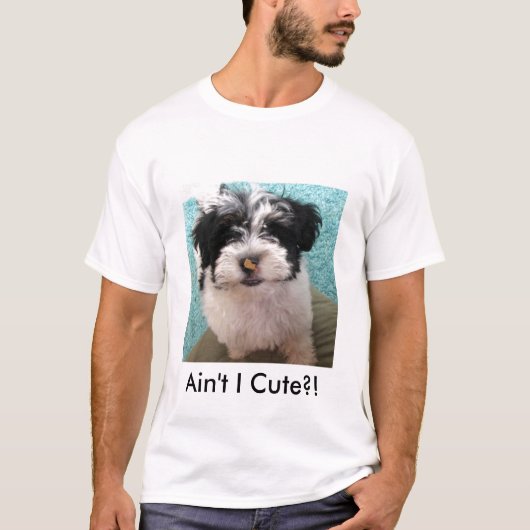T-shirt Chiot de Havanese (Devant)