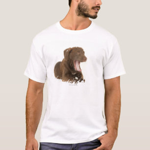 T-shirt Chiot de quatre mois de laboratoire de chocolat