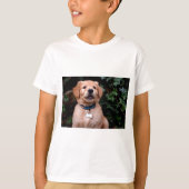 T-shirt Chiot Golden Retriever (Devant)