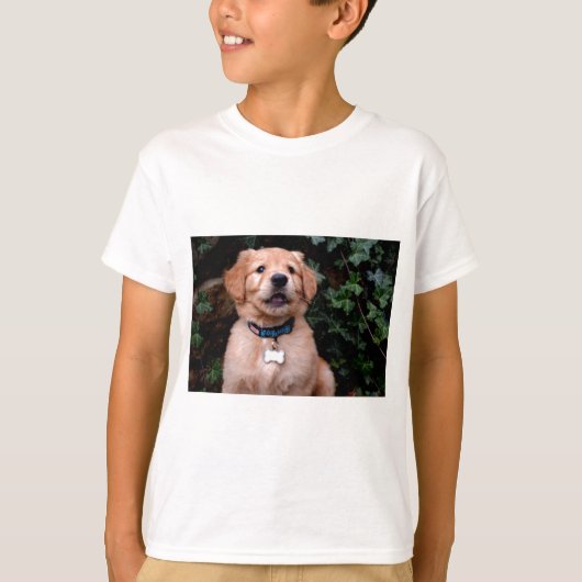 T-shirt Chiot Golden Retriever (Devant)