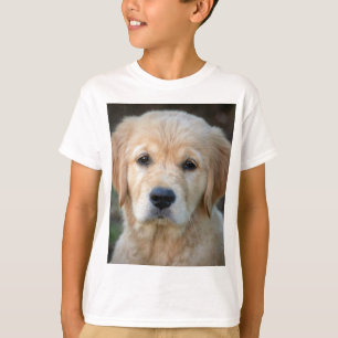 T-shirt Chiot Golden Retriever