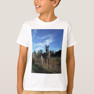 T-shirt Chocolat au lait Cheval Brown en bleu