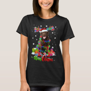 T-shirt Chocolat Laboratoire Chien Joyeux Noël de fête Fam