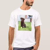 T-shirt Chocolat Labrador Puppy Avec Tennis Ball (Devant)