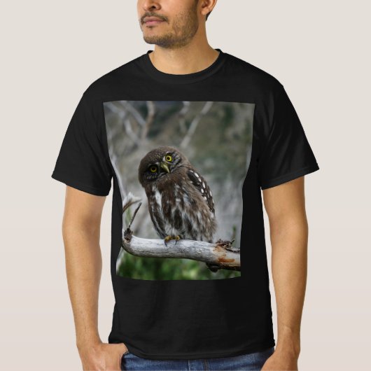 T-shirt Chouette pygmée du Nord (Devant)