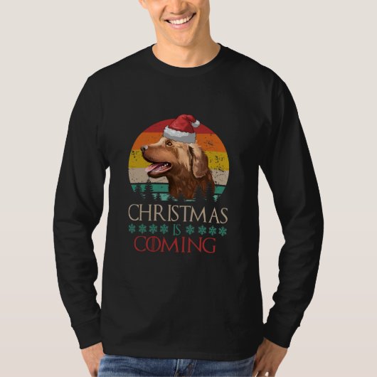 T-shirt Christmas Is Coming Chesapeake Bay Retriever Dog (Devant)