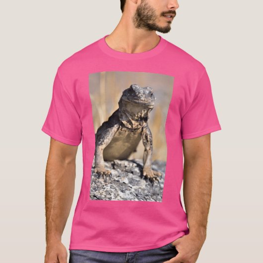 T-shirt Chuckwalla en veille active (Devant)