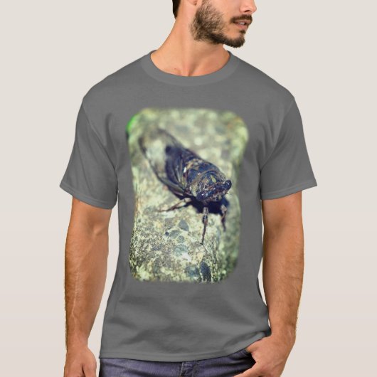 T-shirt Cicada Ohide Buvine Nature (Devant)
