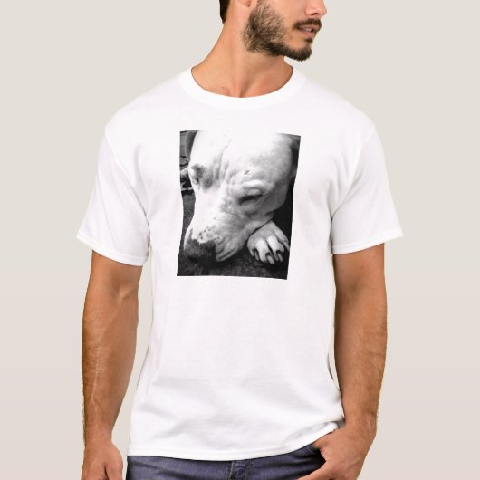 T-shirt cicatrice de harry potter chien pit bull blanc (Devant)