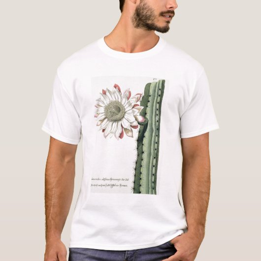 T-shirt Cierge Erectus Altissimus Syrinamensis de 'Phyth (Devant)