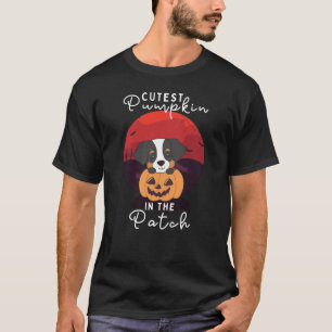 T-shirt Citrouille Bernois Coupe De Chien De Montagne Dans