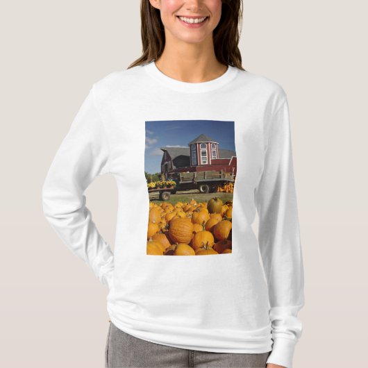 T-shirt Citrouilles à la ferme en automne près d'accord, 2 (Devant)