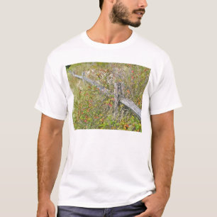 T-shirt Clôture et poison Ivy IBSP NJ Éléments de coordina