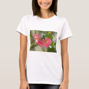 T-shirt Cognassier à Fleurs Roses Glow