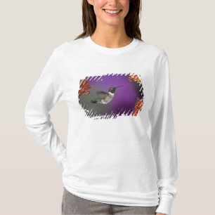 T-shirt Colibri à gorge noire, Archilochus alexandri,