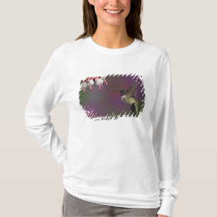 T-shirt Colibri à gorge rubis mâle