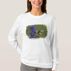 T-shirt Colibri roux