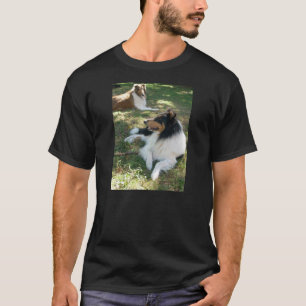 T-shirt Collies