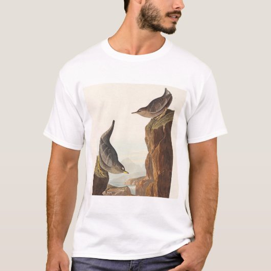 T-shirt Columbian Water Ouzel and Arctic Water Ouzel (Devant)