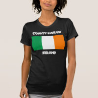 Comté de Carlow, Irlande avec drapeau irlandais