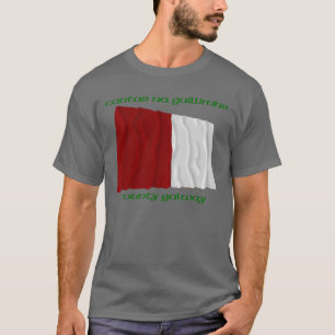 T-shirt Comté de Galway Colors