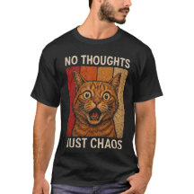 Conception de mème de chat orange Chaos sans pensé