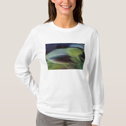T-shirt conception de motif de plume de perroquet (Devant)