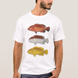 T-shirt Coney Grouper