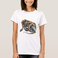 Constricteur de boa