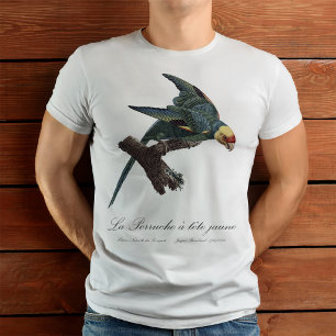 T-shirt Conure de Caroline, Conuropsis carolinensis