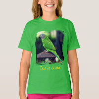 Conure Perruche Tête Cendrée Personnalisée