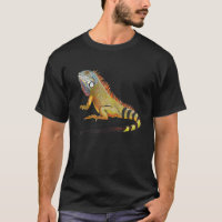 Cool Tropical Iguana Lizard, Don Pet