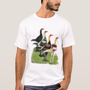 T-shirt Coqs de Combat Moderne