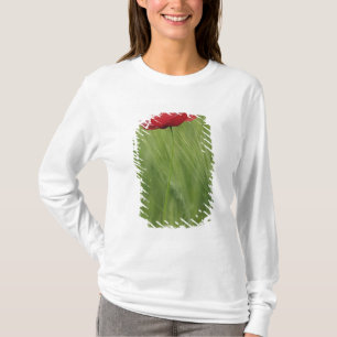 T-shirt Coquelicot rouge parmi les cultures de blé, Toscan
