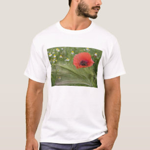 T-shirt Coquelicot, Toscane, Italie