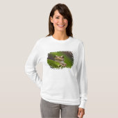 T-shirt Coqui commun, Eleutherodactylus coqui (Devant entier)