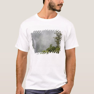 T-shirt Costa Rica, forêt nuageuse dans les montagnes près