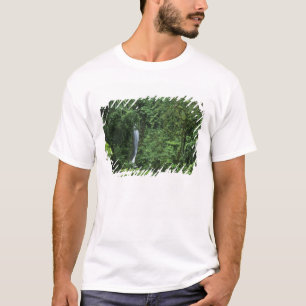T-shirt Costa Rica, région du volcan Arenal, ponts suspend
